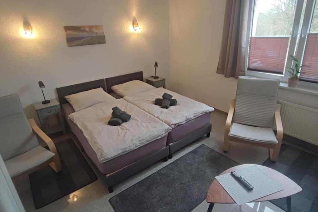 Hehlentor-City Gaeste Wohnung Celle Exterior foto